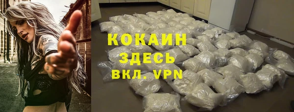 ешки Алексин