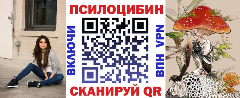 darknet официальный сайт  блэк спрут вход  Новоалтайск  Галлюциногенные грибы MAGIC MUSHROOMS 